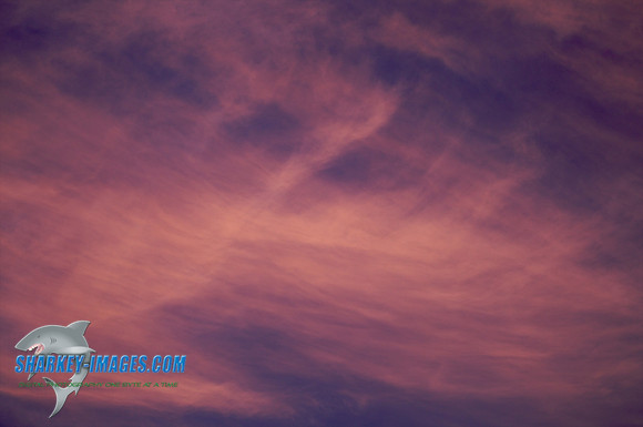 101114M 185 - Version 2