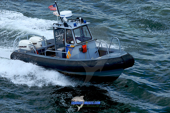 091309G 90 - Version 2.jpg