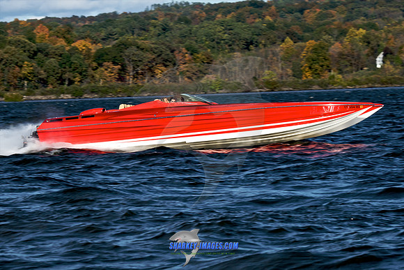 101009C 229 - Version 2.jpg