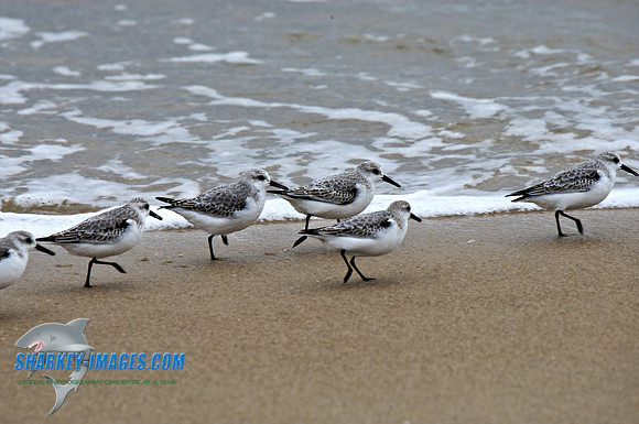 103009_ 163 - Version 2.jpg