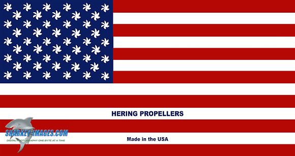 hering usa flag wht