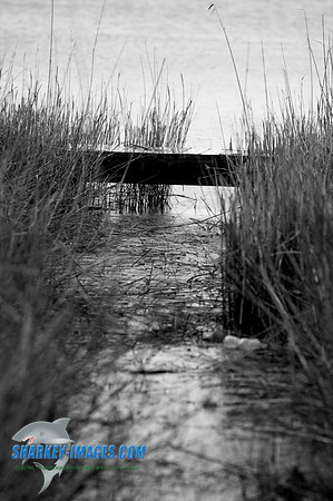 033010A_ 40 - Version 2
