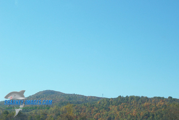 110208_ 016.jpg