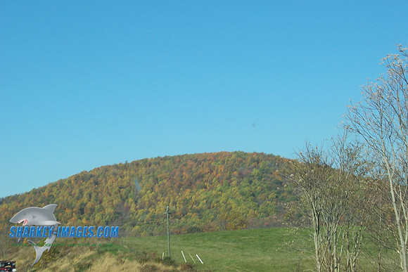 110208_ 010.jpg