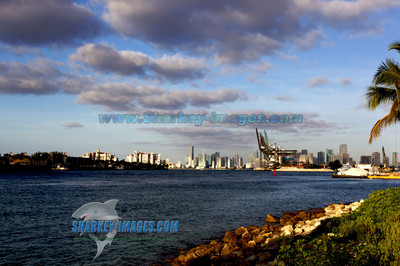 120221 43 - Version 2
