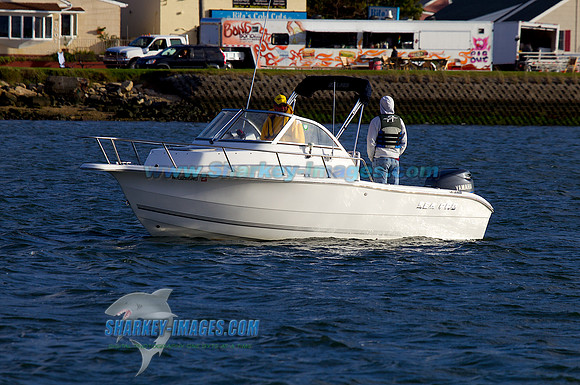 111002B 1380 - Version 2