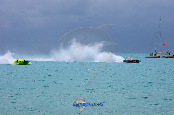 111109_ 564 - Version 2.jpg