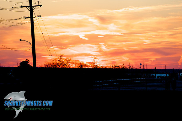 03182010 39 - Version 2