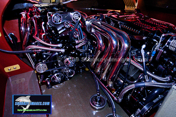 062009F 77 - Version 2.jpg
