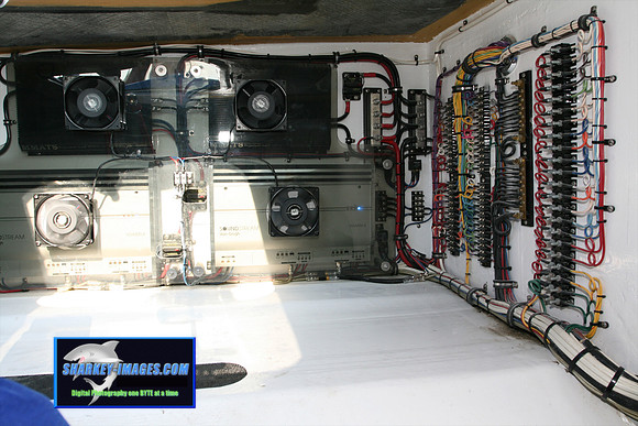 080109_T 42.jpg