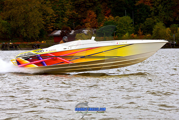 101009B 175 - Version 2.jpg