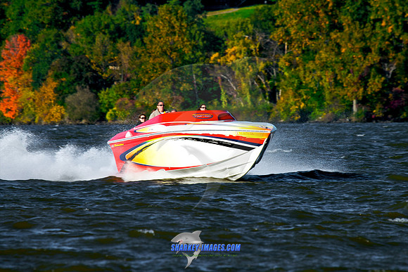 101009C 246 - Version 2.jpg