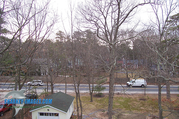 3_07 010.jpg