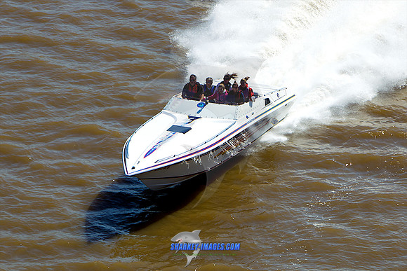 111008A 337 - Version 2