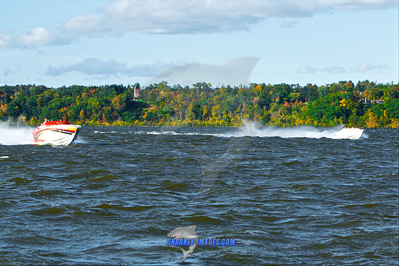 101009B 420 - Version 2.jpg