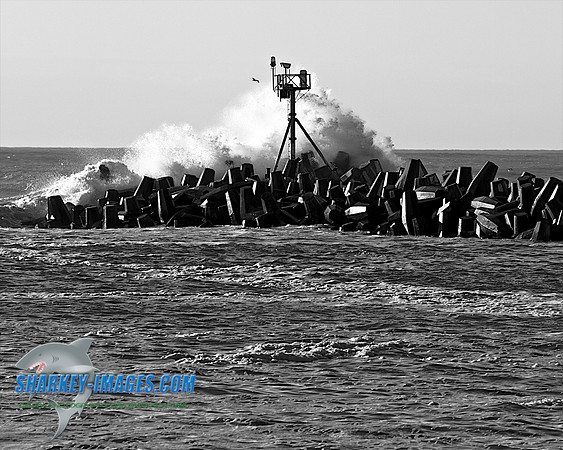 110416 62 - Version 2