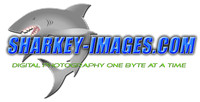 Sharkey-Images