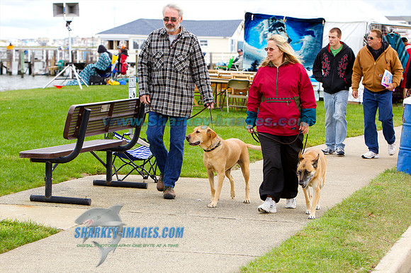 111002_S 23 - Version 2