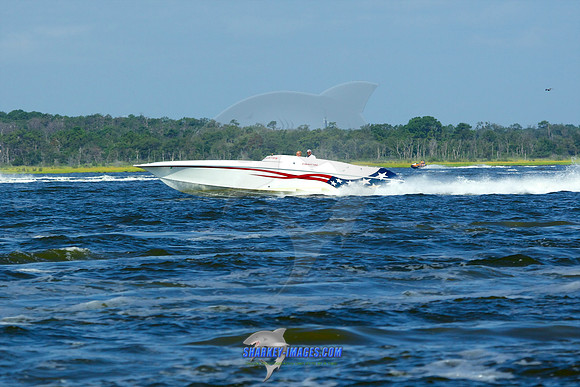 180902A 317