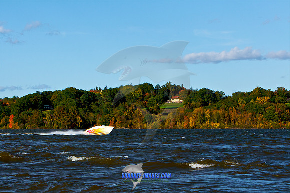 101009B 383 - Version 2.jpg