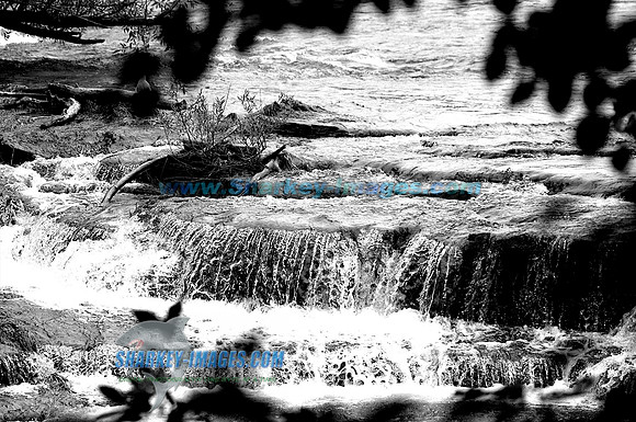 110813F 81 - Version 2