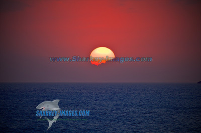 111113R3 903 - Version 2
