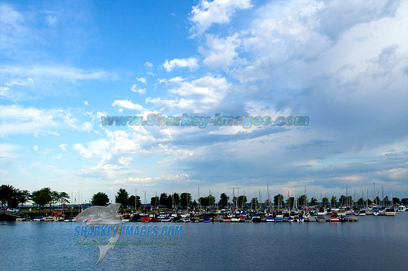 110813A 19 - Version 2
