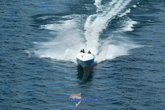 180721B 486
