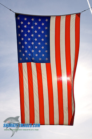 110120  1236 - Version 2