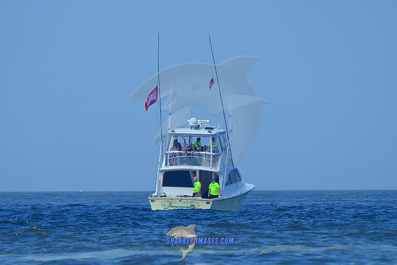 150710D 486
