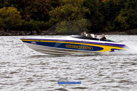 101009B 146 - Version 2.jpg