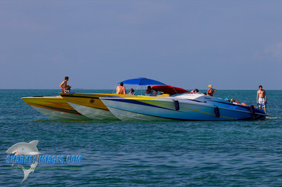 120225B 17 - Version 2