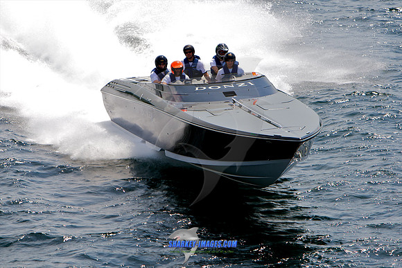 052210_B 313 - Version 2