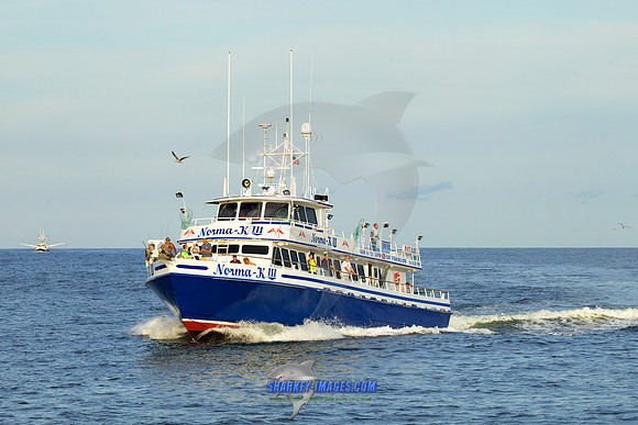160902A 341