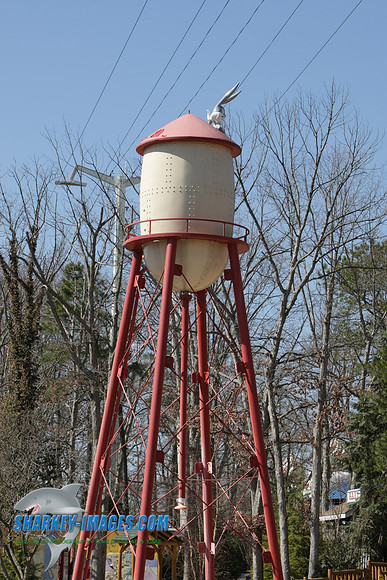 5T0F0004.JPG