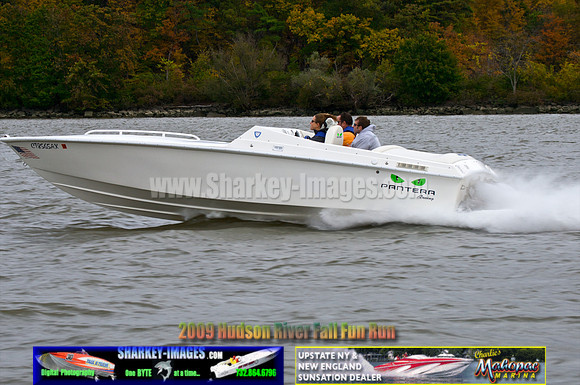 101009B 229 - Version 2.jpg