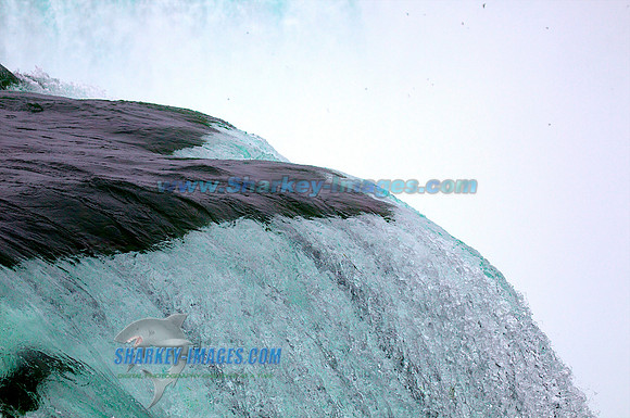 110813F 69 - Version 2