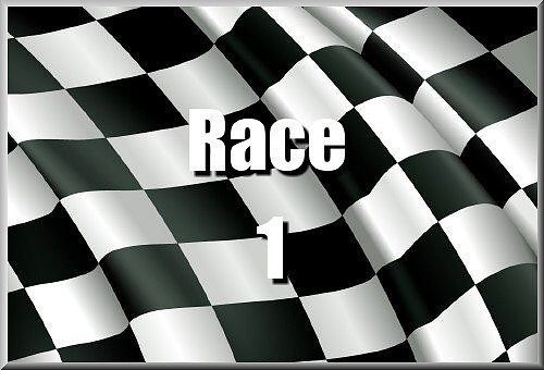 Race 1