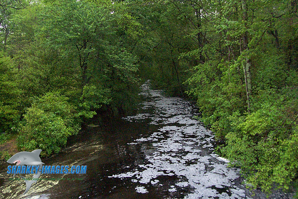 052108K 039.jpg