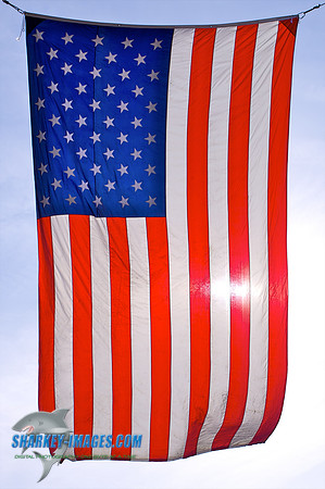 110120  1237 - Version 2