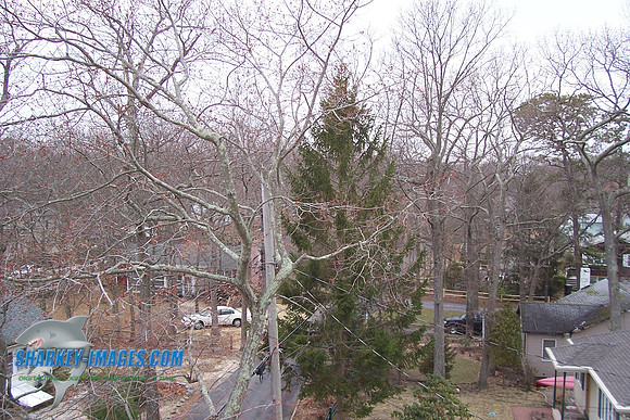 3_07 012.jpg