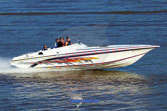 111008B 115 - Version 2