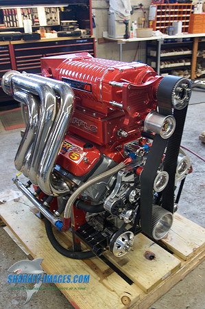 011610_C 7.jpg