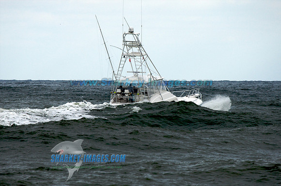 102909_ 31 - Version 2.jpg