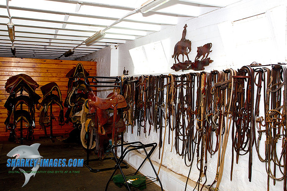 120729A 54