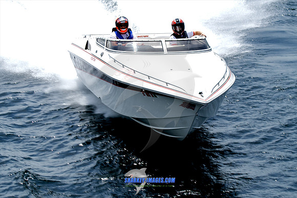 052210_C 60 - Version 2