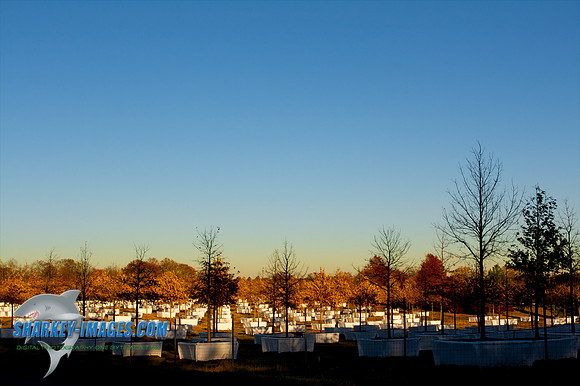 101111A 39 - Version 2