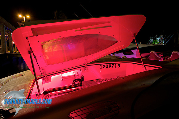 120223E 17 - Version 2