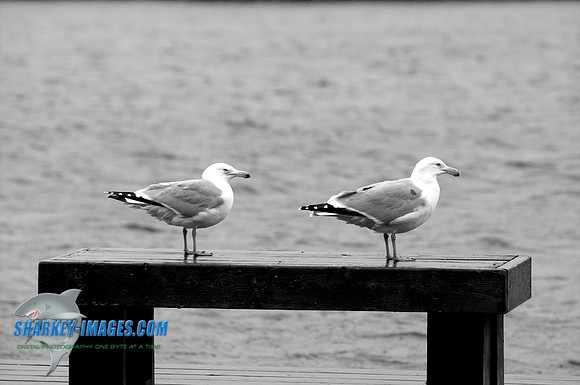 033010A_ 28 - Version 2