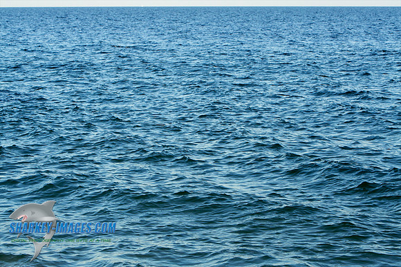 011410 2 - Version 2.jpg